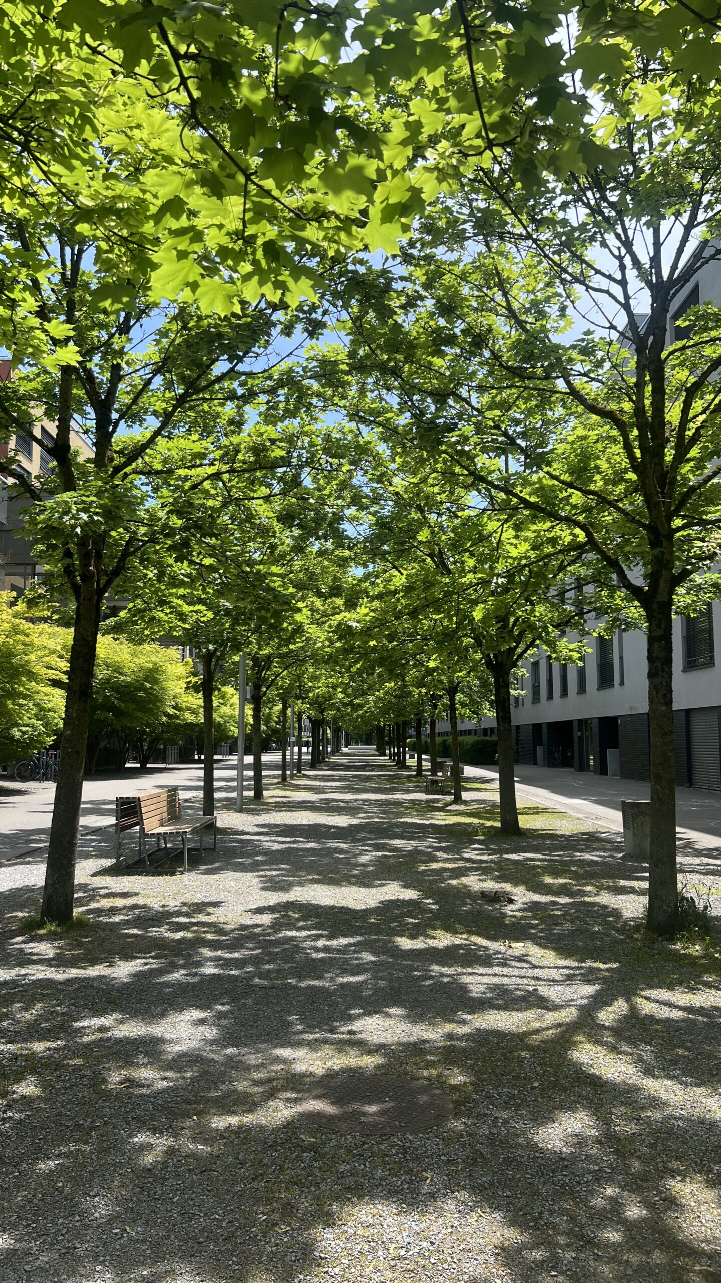 Workspace overlooking the city of Zürich